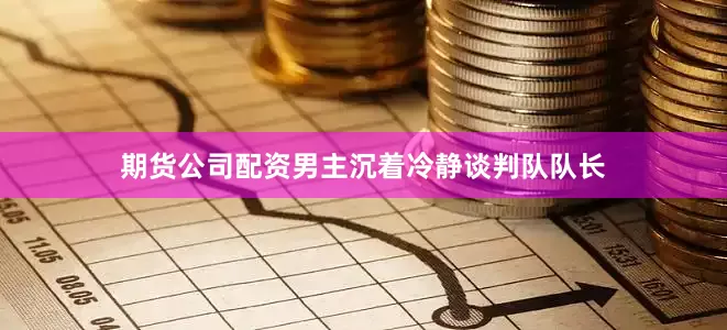 期货公司配资男主沉着冷静谈判队队长